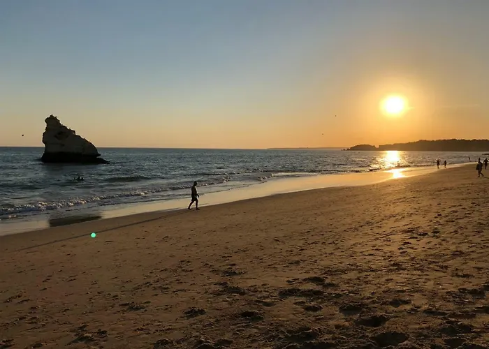 Awesome In Da Rocha ポルティマン